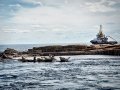 Multraship-Pentland-Firth-with-seals-resized